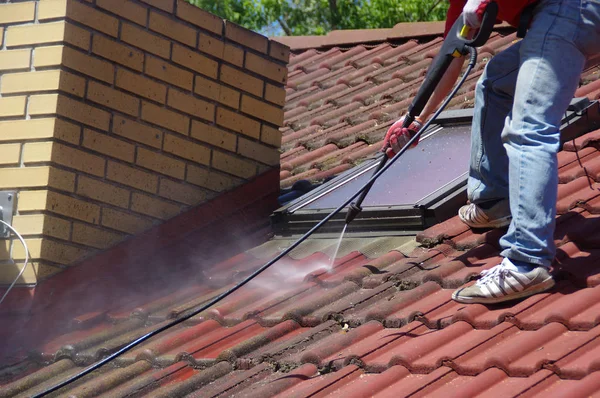 Professional Roof Cleaning